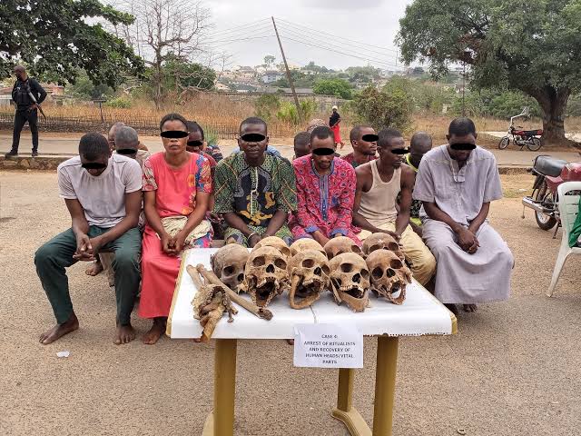 Human skulls