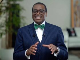 African Development Bank (AfDB) President, Dr Akinwuni Adesina