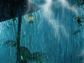 Thunderstorm rain
