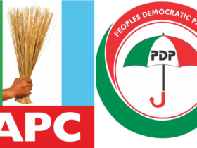 APC PDp