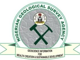 Nigerian Geological Survey Agency (NGSA)