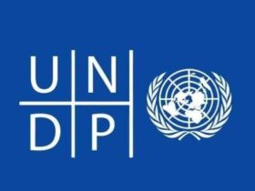 UNDP