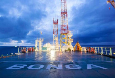 Bonga Deep Sea shell