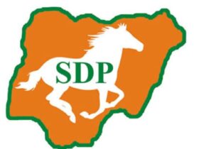 SDP
