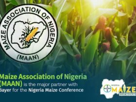 Maize Association of Nigeria (MAAN)