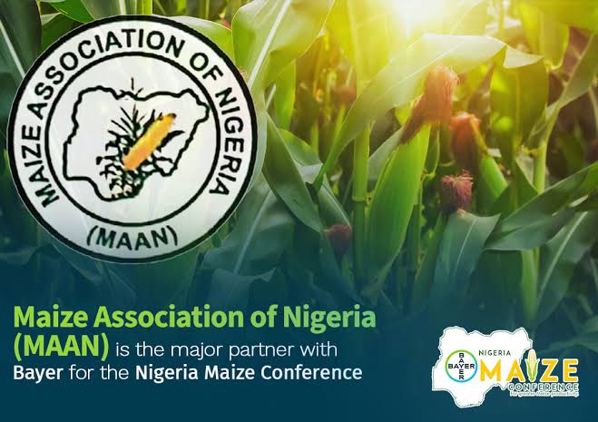 Maize Association of Nigeria (MAAN)
