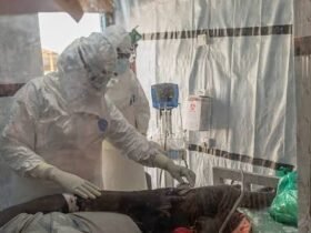 Ebola