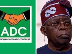 Adc tinubu