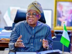 Minister of Marine and Blue Economy Adegboyega Oyetola