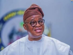 Minister of Marine and Blue Economy Adegboyega Oyetola