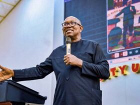 NDC Presidential candidate, Peter Obi