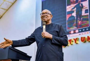 NDC Presidential candidate, Peter Obi