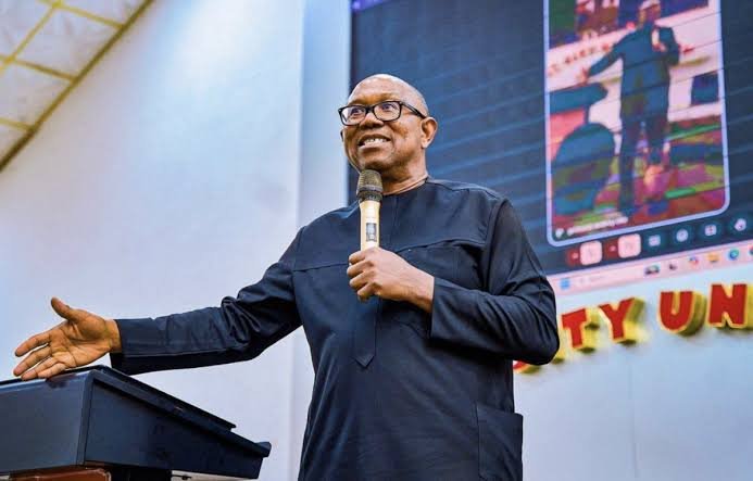 NDC Presidential candidate, Peter Obi