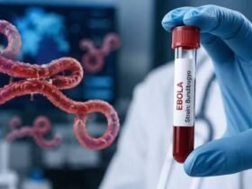 Ebola