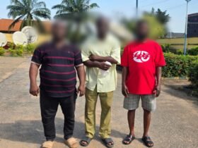 3 Arrested for Using SGF, Top Government Officials' Identities to Scam Victims of Millions
