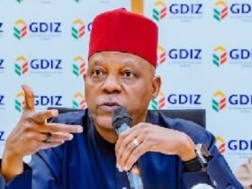VP kashimNigeria's Power Future Depends on States, Not Abuja Alone — Shettima