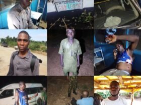 Troops foil.kidnap attempt